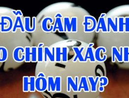 Lô đầu 9 câm đánh con gì hôm sau